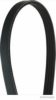 DAIHA 9004831067 V-Ribbed Belts